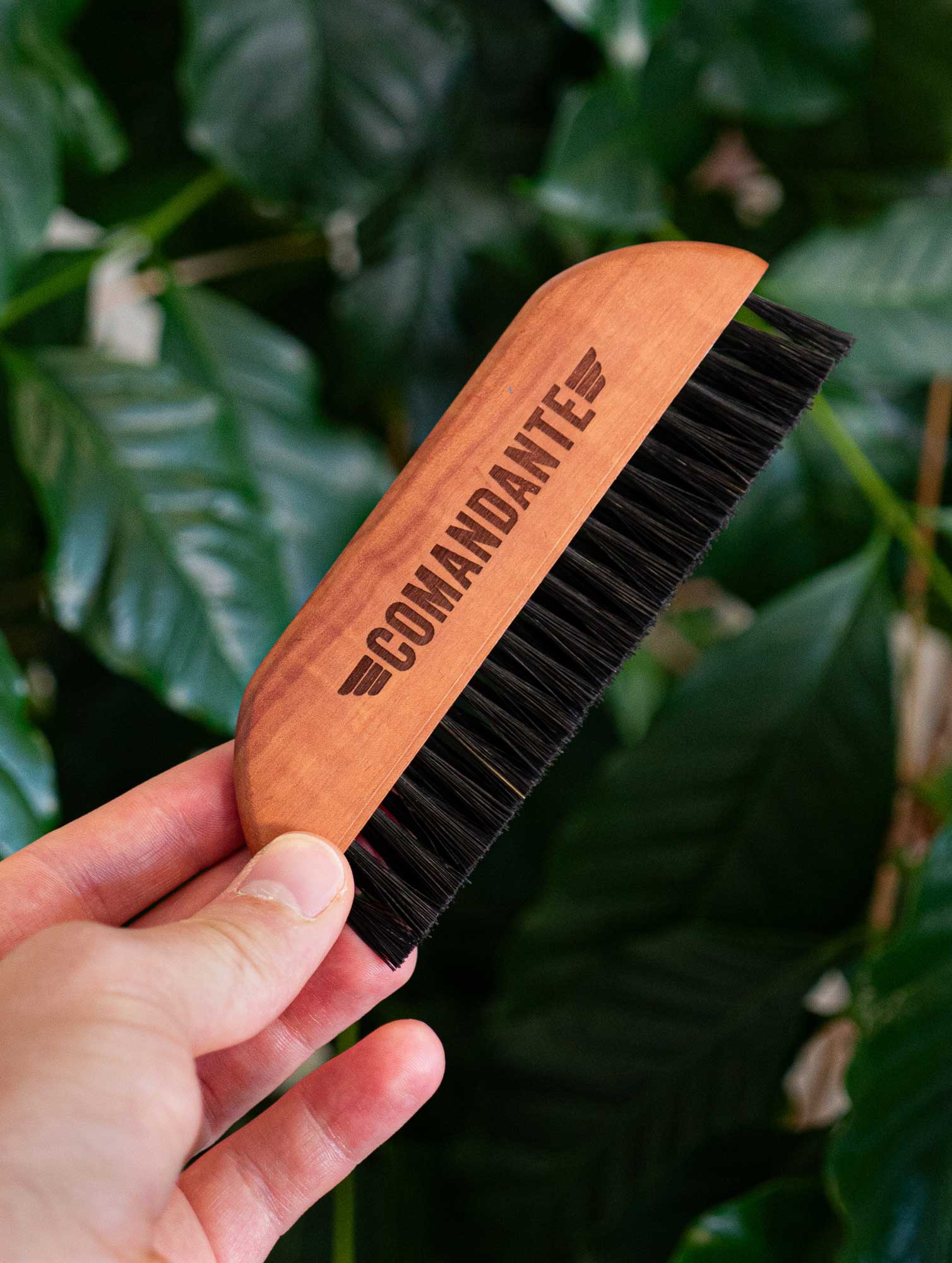 Barista Brush #1