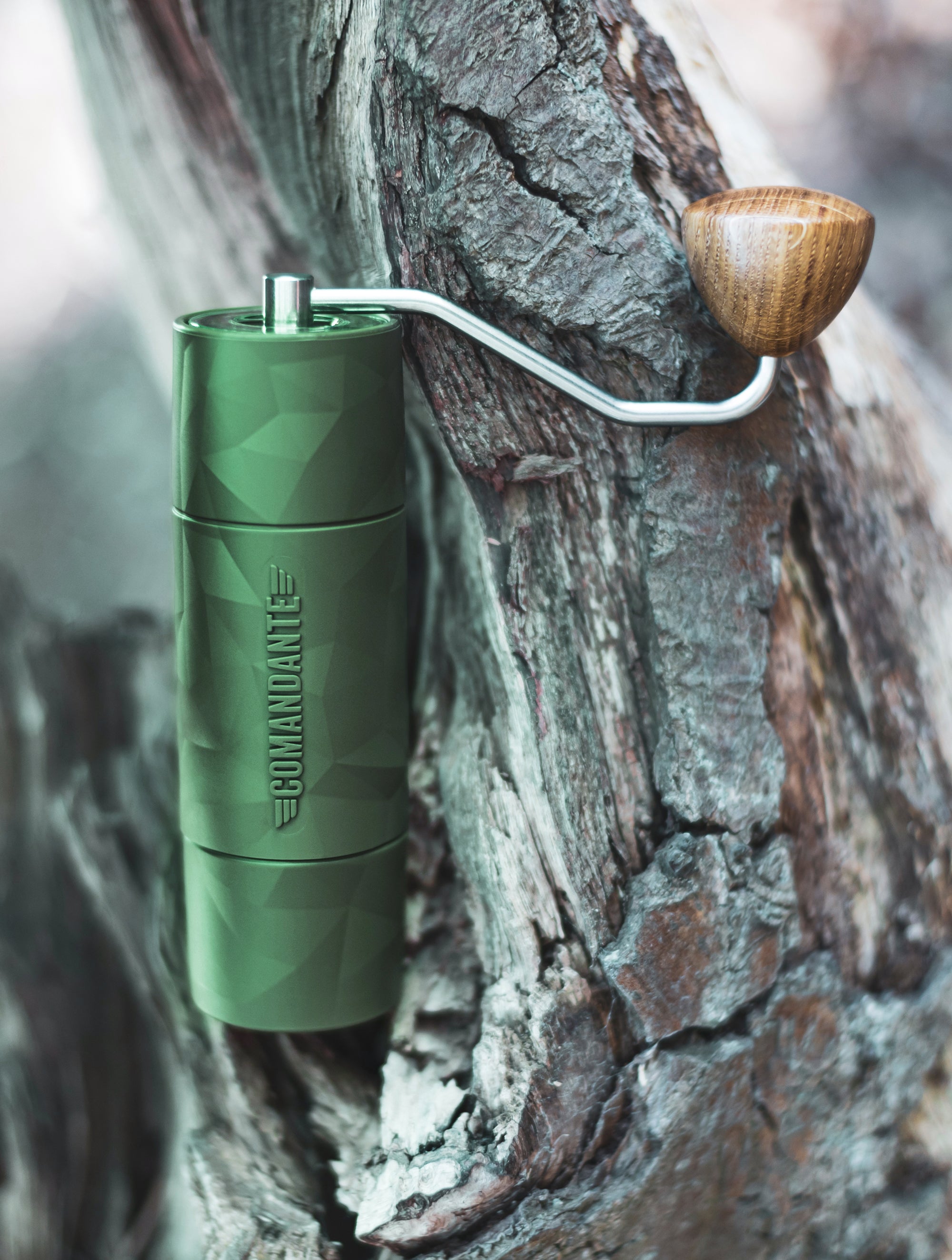 X25 Trailmaster Forest